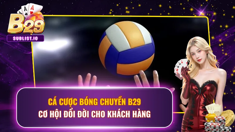 Cá Cược Bóng Chuyền